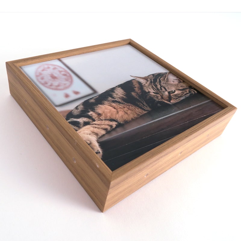 Custom Joint Panel - Connect and display! Perfect for documenting your kitty's growth