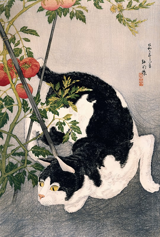 [Hoodie] Cat painting hoodie "Tomato and cat" Takahashi Shotei 01