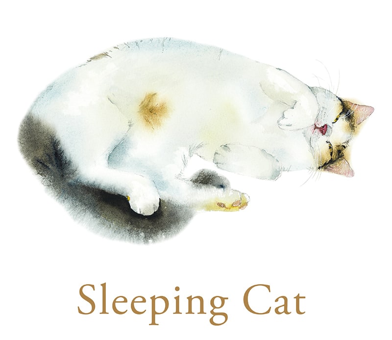 [Hoodie]  Sleeping Cat (D type)｜8.4oz
